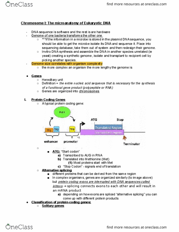 BIOL-UA 21 Lecture Notes - Lecture 10: Dna Profiling, Alternative Splicing, Tubulin thumbnail