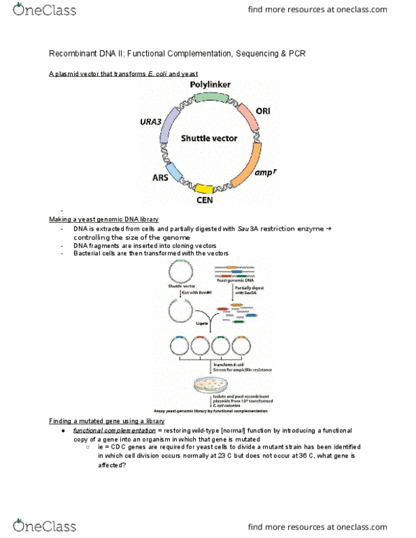 BIOL-UA 21 Lecture Notes - Lecture 8: Ura3, Recombinant Dna, Dna Sequencer thumbnail