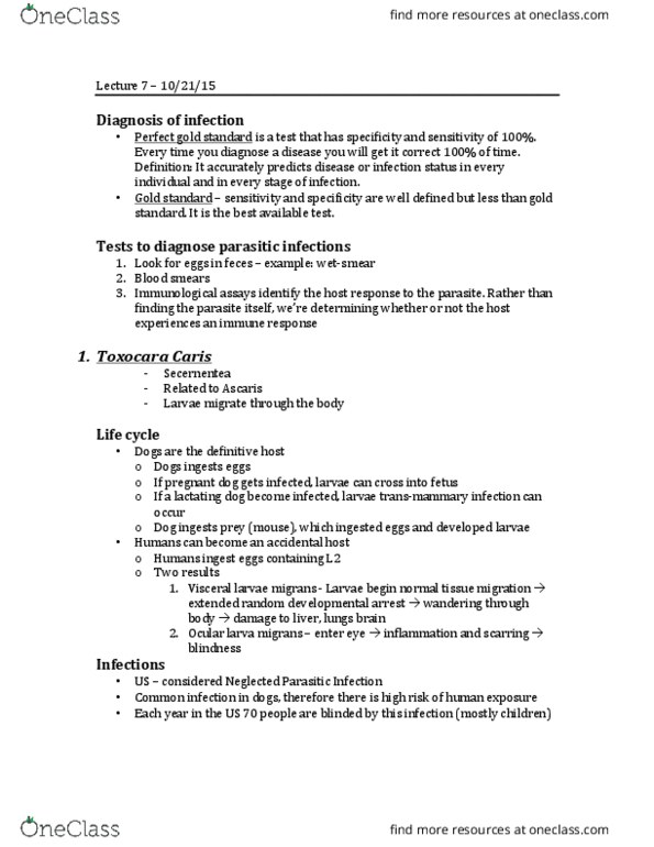 01:146:328 Lecture Notes - Lecture 7: Ocular Larva Migrans, Ancylostoma Caninum, Ancylostoma Braziliense thumbnail