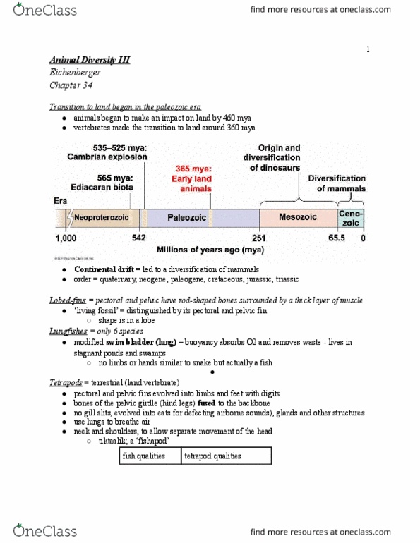 BIOL-UA 12 Lecture Notes - Lecture 9: Paleozoic, Mesozoic, Swim Bladder thumbnail