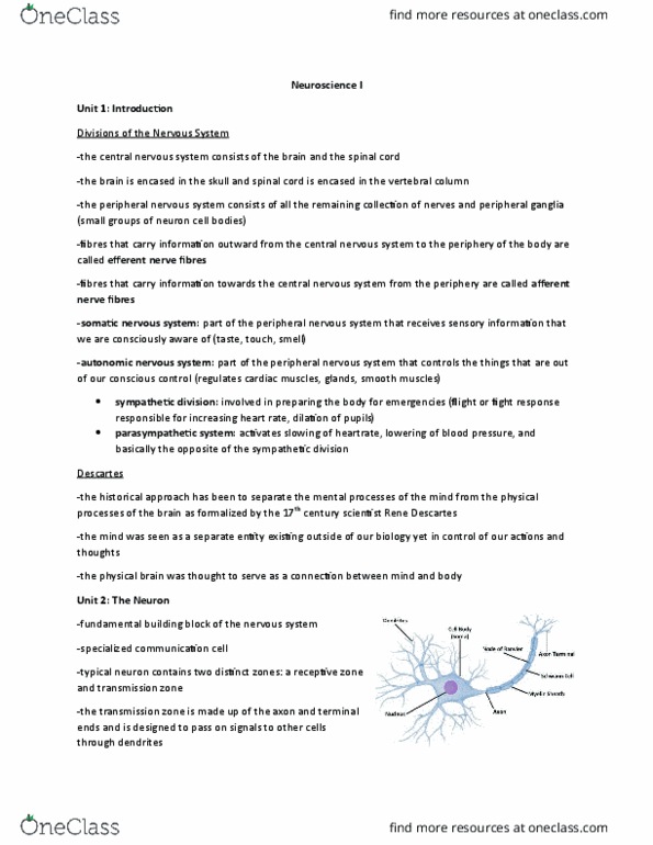 PSYCH 1XX3 Lecture Notes - Lecture 6: Peripheral Nervous System, Central Nervous System, Neuroglia thumbnail