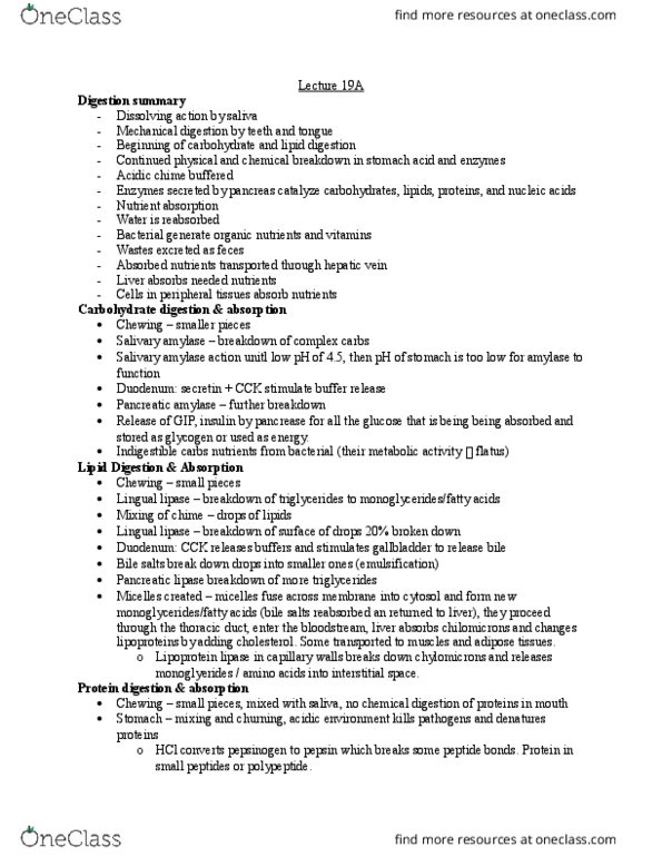 BIO210Y5 Lecture Notes - Lecture 19: Lingual Lipase, Lipoprotein Lipase, Bile Acid thumbnail