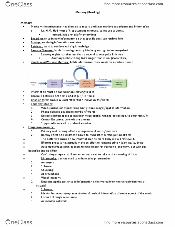 Psychology 1000 Chapter Notes - Chapter 10: Prefrontal Cortex, Sketchpad, Eyewitness Identification thumbnail