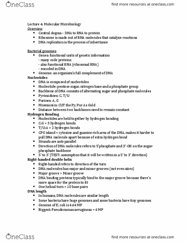 BIOL 2303 Lecture Notes - Lecture 4: Semiconservative Replication, Okazaki Fragments, Operon thumbnail