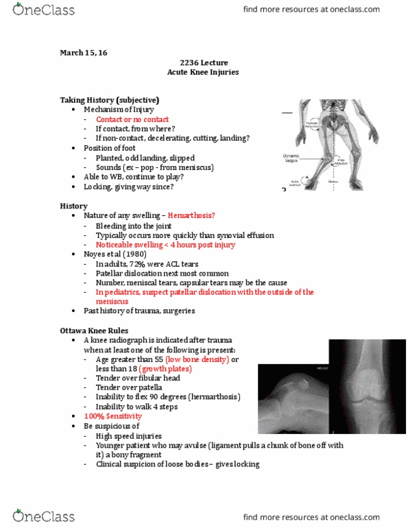 Kinesiology 2236A/B Lecture 17: 2236 Lecture 17 March 15 thumbnail