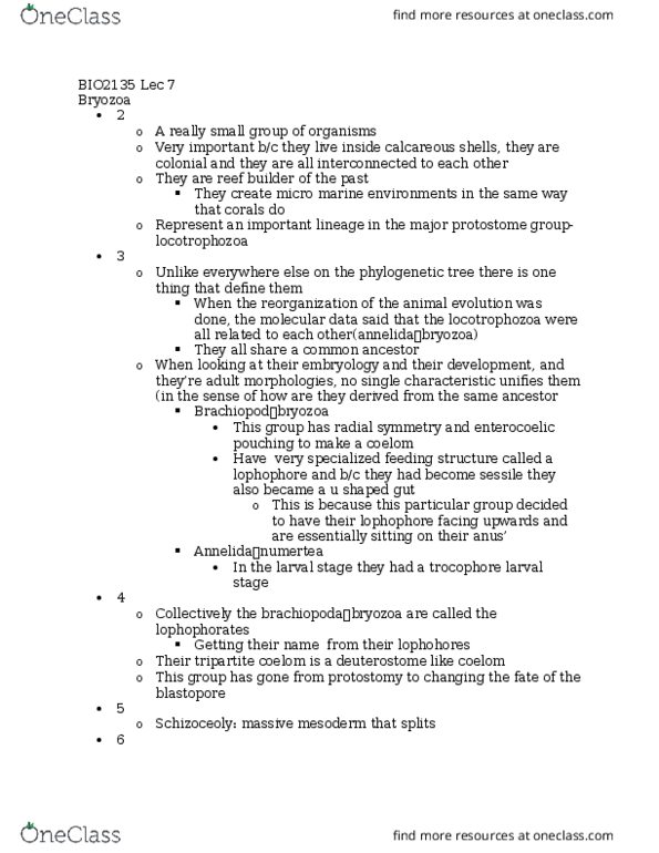 BIO 2135 Lecture Notes - Lecture 7: Polypide, Lophophore, Hydrostatic Skeleton thumbnail
