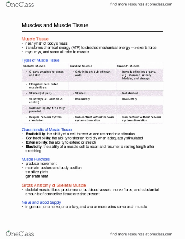 ANP 1106 Chapter Notes - Chapter 9: Dense Irregular Connective Tissue, Semispinalis Muscles, Epicranial Aponeurosis thumbnail