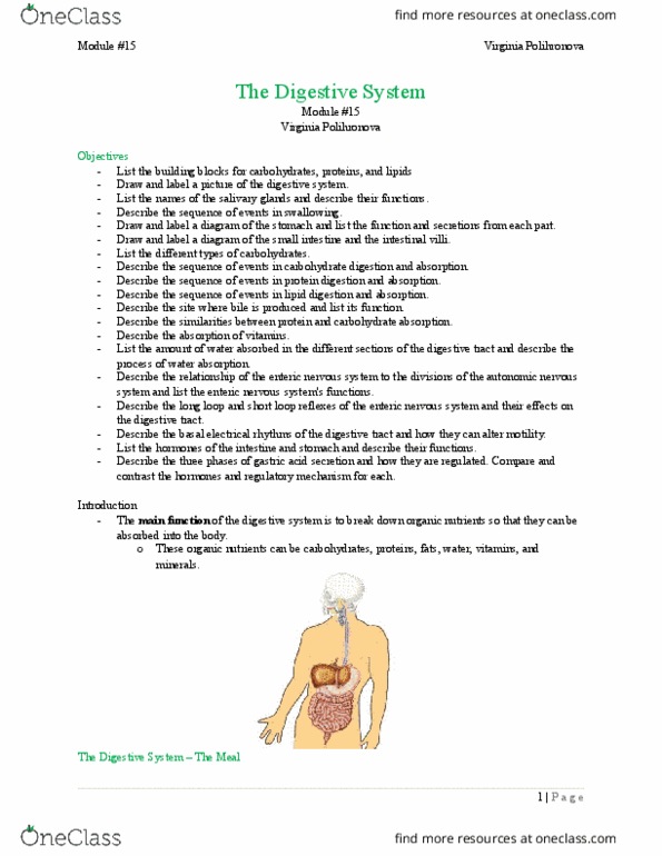 Physiology 1020 Lecture Notes - Lecture 15: Peristalsis, Epiglottis, Sucrase thumbnail