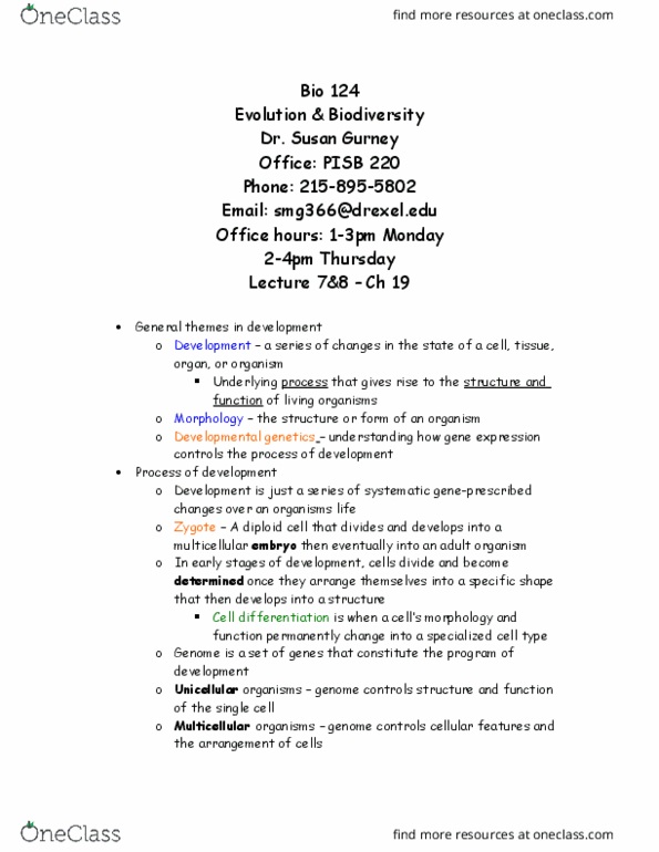 BIO 124 Lecture Notes - Lecture 5: Pattern Formation, Gynoecium, Pupa thumbnail