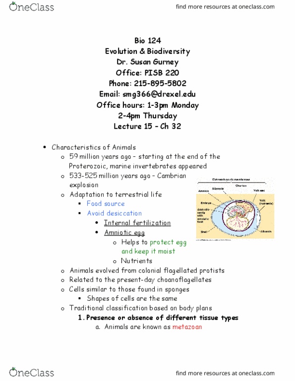 BIO 124 Lecture Notes - Lecture 12: Arthropod, Ribosomal Rna, Cnidocyte thumbnail