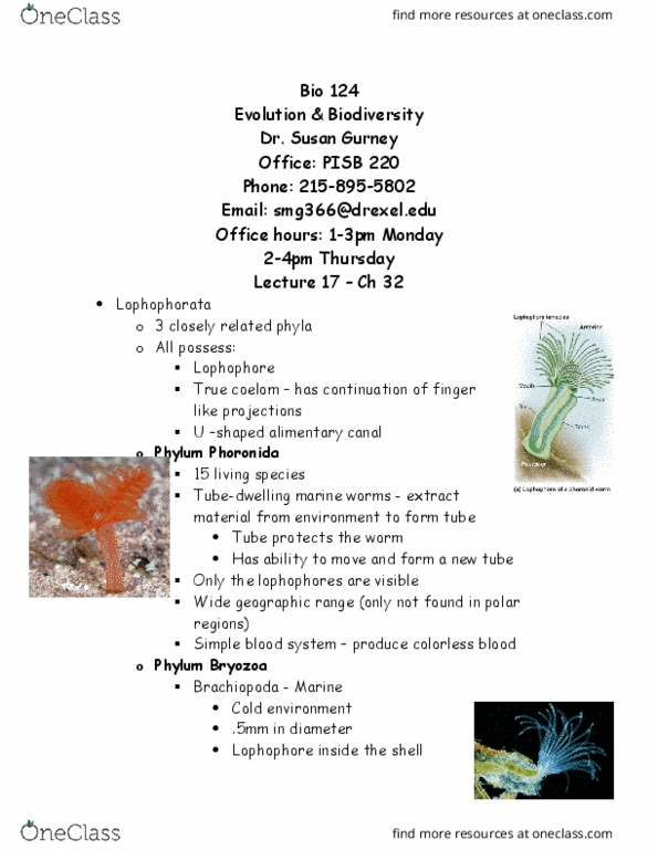 BIO 124 Lecture Notes - Lecture 13: Clitellata, Annelid, Tube Feet thumbnail