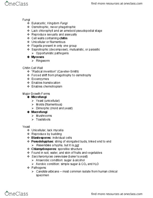 MCB 2004C Lecture Notes - Lecture 11: Chlorophyll, Blastomycosis, Flagellum thumbnail