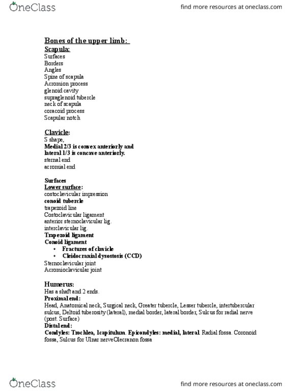 ZOO 3713C Lecture Notes - Lecture 4: Extensor Carpi Ulnaris Muscle, Rheumatoid Arthritis, Axillary Nerve thumbnail