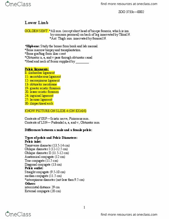 ZOO 3713C Lecture Notes - Lecture 3: Internal Iliac Artery, Plantar Interossei Muscles, Anterior Tibial Artery thumbnail