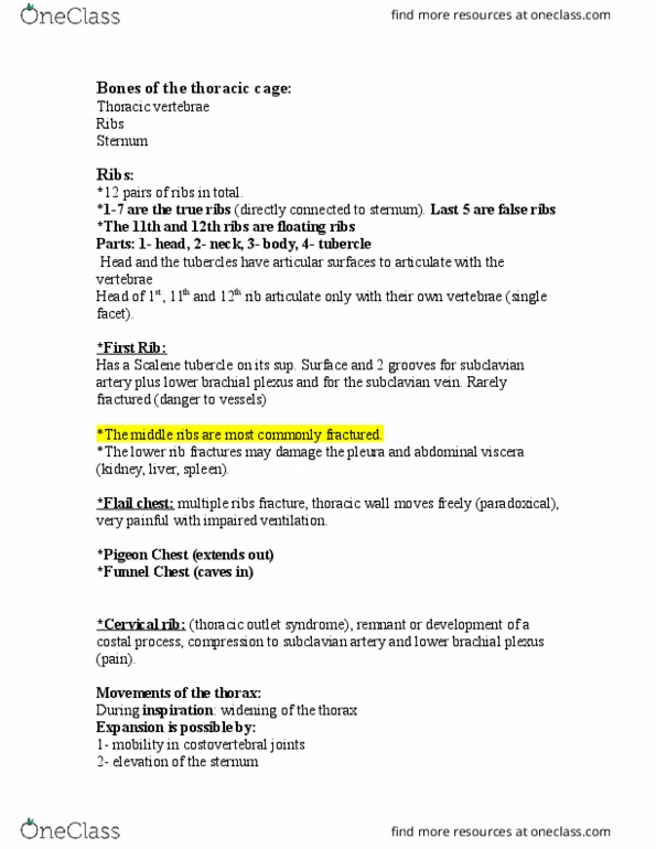 ZOO 3713C Lecture Notes - Lecture 7: Chest Tube, External Intercostal Muscles, Mastectomy thumbnail