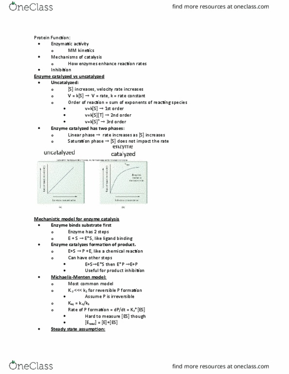 BCH 2333 Lecture 13: Michealis - Menten thumbnail