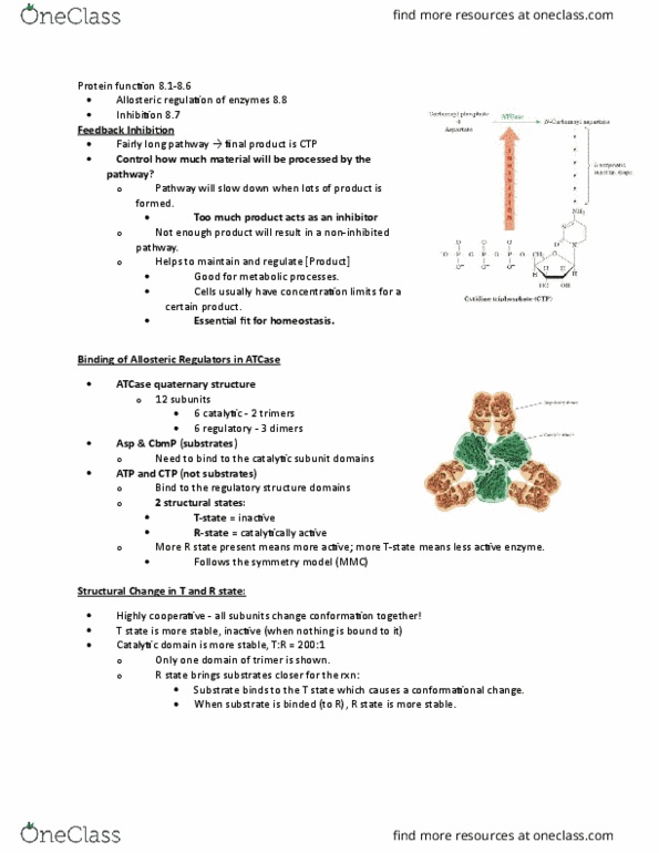 BCH 2333 Lecture Notes - Lecture 15: Phosphofructokinase, Glycogen Phosphorylase, Michaelis–Menten Kinetics thumbnail