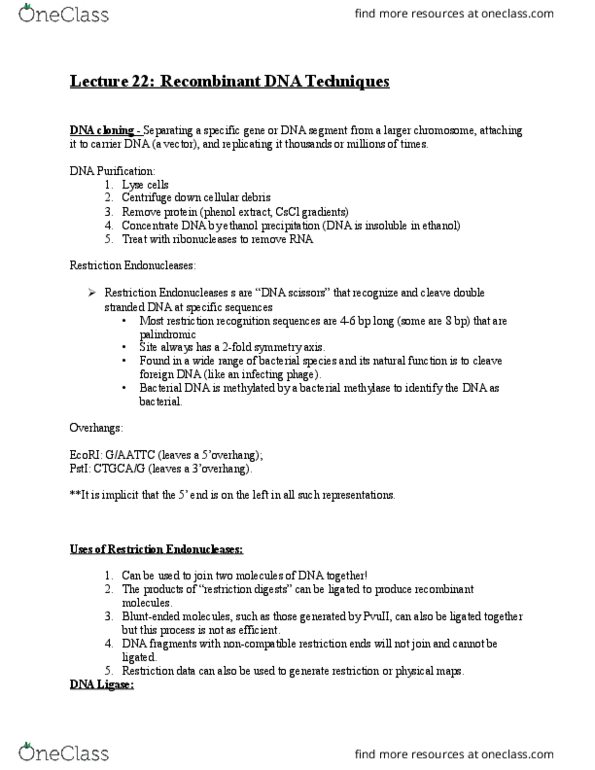 MBB 222 Lecture Notes - Lecture 22: Pbr322, Multiple Cloning Site, Ampicillin thumbnail