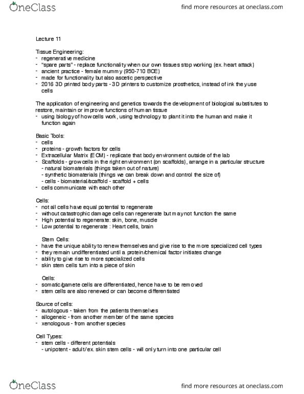 SCIE 1P51 Lecture Notes - Lecture 11: Biomaterial, Embryonic Stem Cell, Epithelium thumbnail