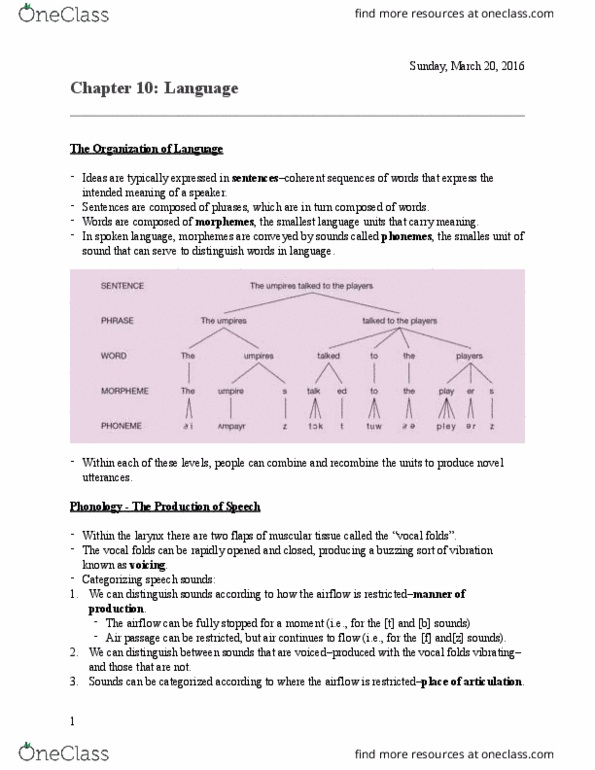 PSYCH 2H03 Chapter Notes - Chapter 10: Phrase Structure Rules, Vocal Folds, Parsing thumbnail