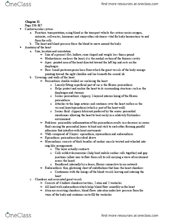 BIOM 2000 Chapter Notes - Chapter 11: Sympathetic Nervous System, Qrs Complex, Abdominopelvic Cavity thumbnail