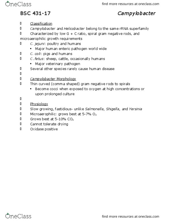 BSC 431 Lecture Notes - Lecture 17: Serology, Metronidazole, Macrolide thumbnail