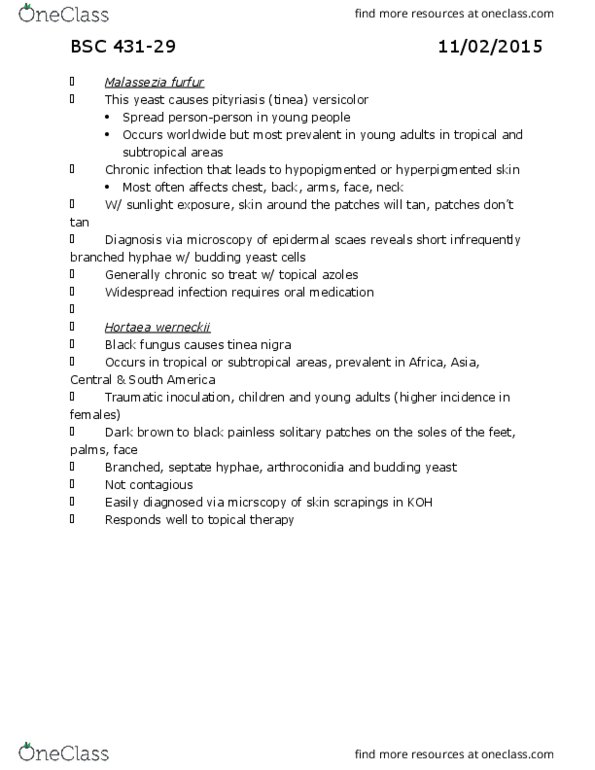 BSC 431 Lecture Notes - Lecture 29: Arthropod, Amputation, Chromoblastomycosis thumbnail