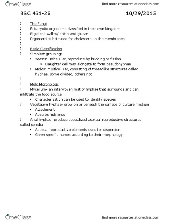 BSC 431 Lecture Notes - Lecture 28: Flucytosine, Aspergillus, Vaginal Yeast Infection thumbnail