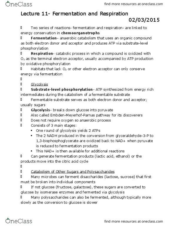 BSC 310 Lecture Notes - Lecture 11: Succinic Acid, Cytochrome C Oxidase, Nadh Dehydrogenase thumbnail