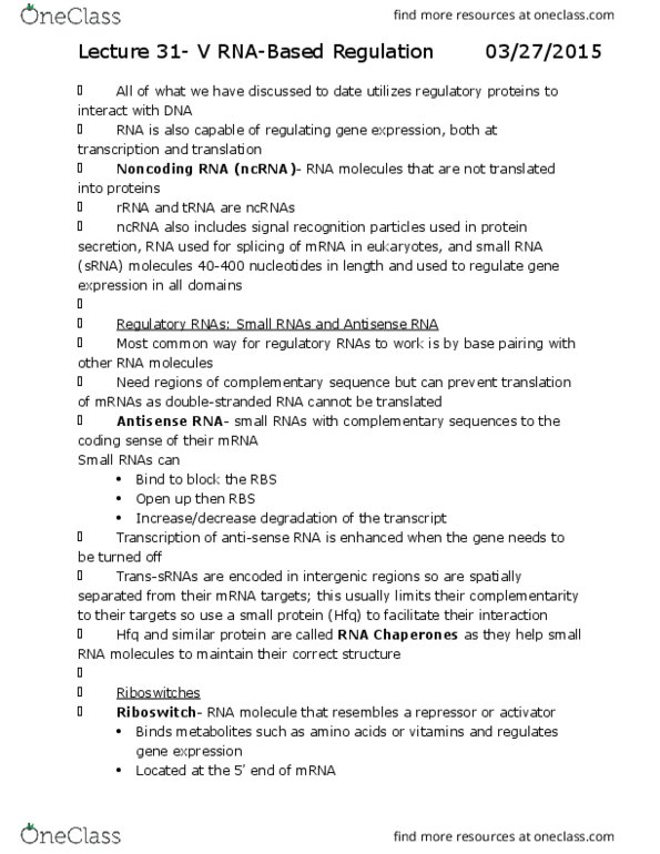 BSC 310 Lecture Notes - Lecture 31: Glutamine Synthetase, Operon, Glutamine thumbnail