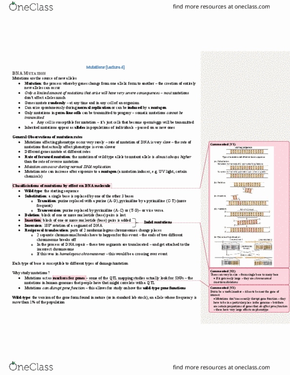 HMB265H1 Lecture Notes - Lecture 15: Quantitative Trait Locus, Mutation Rate, Dna Replication thumbnail