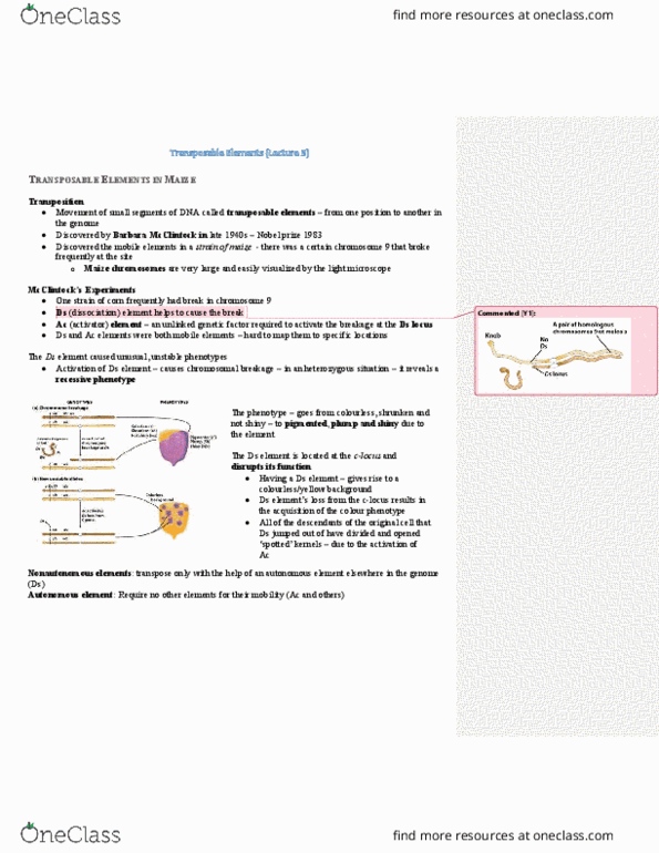 HMB265H1 Lecture Notes - Lecture 16: Transposable Element, Reverse Transcriptase, Transposase thumbnail
