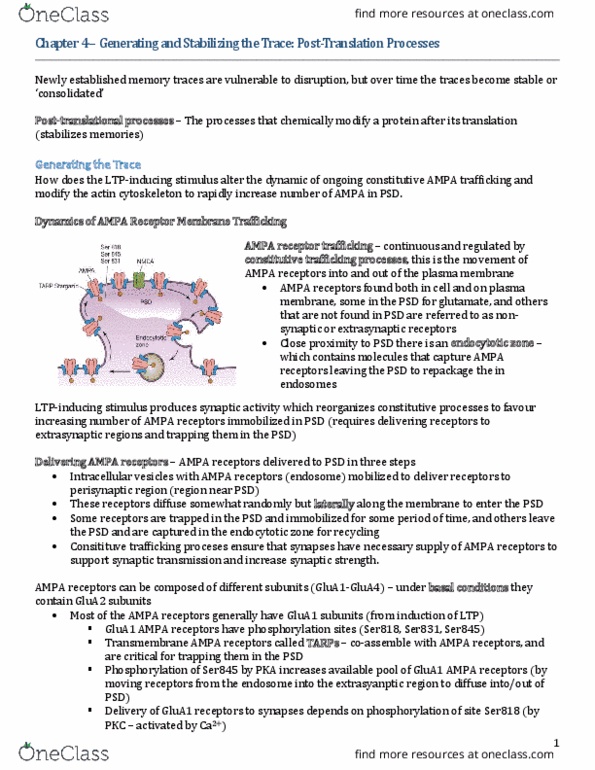 PSY492H1 Chapter Notes - Chapter 4: Ampa Receptor, Gria1, Dlg4 thumbnail