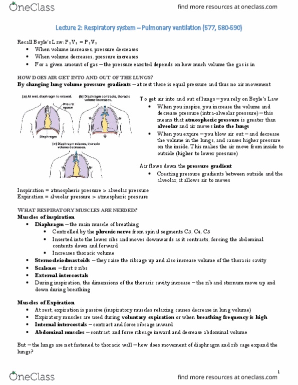 PSL301H1 Lecture 14: Respiratory Lecture 2 (14) thumbnail