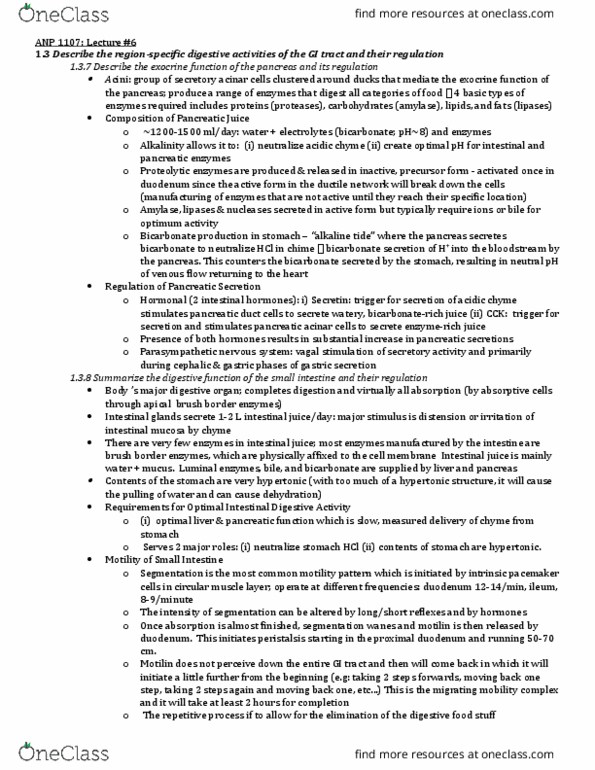 ANP 1107 Lecture Notes - Lecture 6: Oligosaccharide, Lactase, Cecum thumbnail