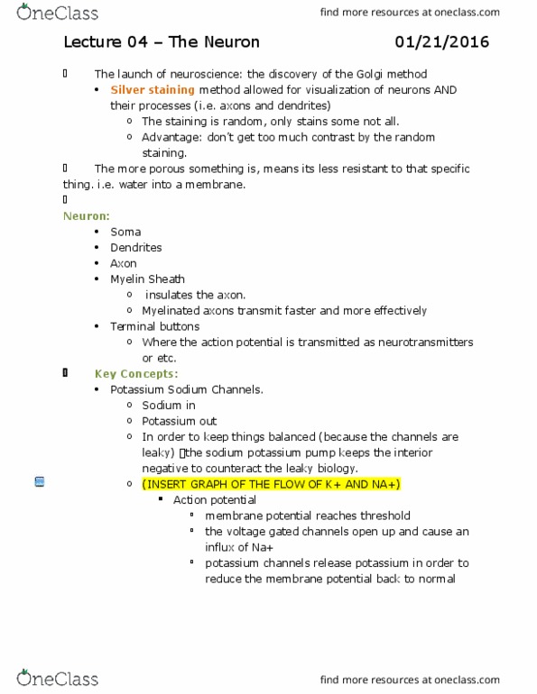 PSYC 212 Lecture Notes - Lecture 4: Cell Wall, Receptive Field, Action Potential thumbnail