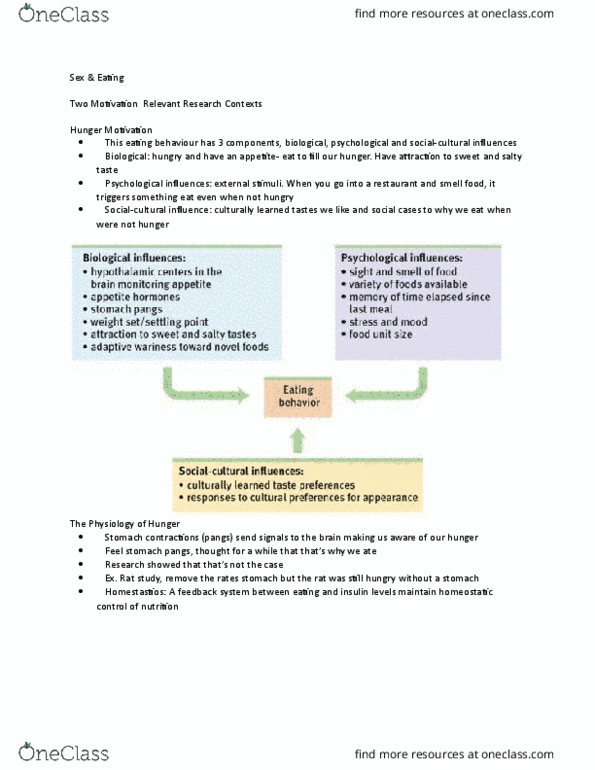 PSYA02H3 Lecture Notes - Lecture 8: Human Sexual Response Cycle, Sex Organ, Sexual Orientation thumbnail