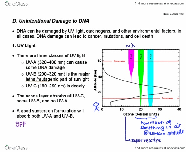 document preview image