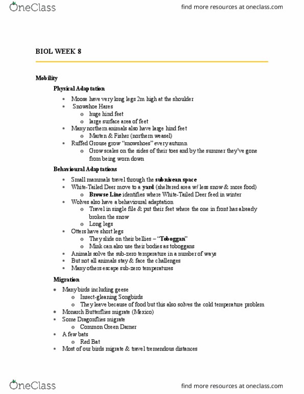 BIOL 1902 Lecture Notes - Lecture 8: Red Knot, Turkey Vulture, Electromagnetism thumbnail