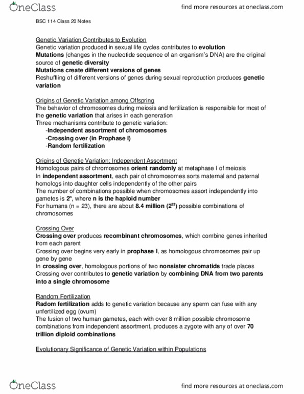 BSC 114 Lecture Notes - Lecture 20: Punnett Square, Mendelian Inheritance, Genetic Variation thumbnail