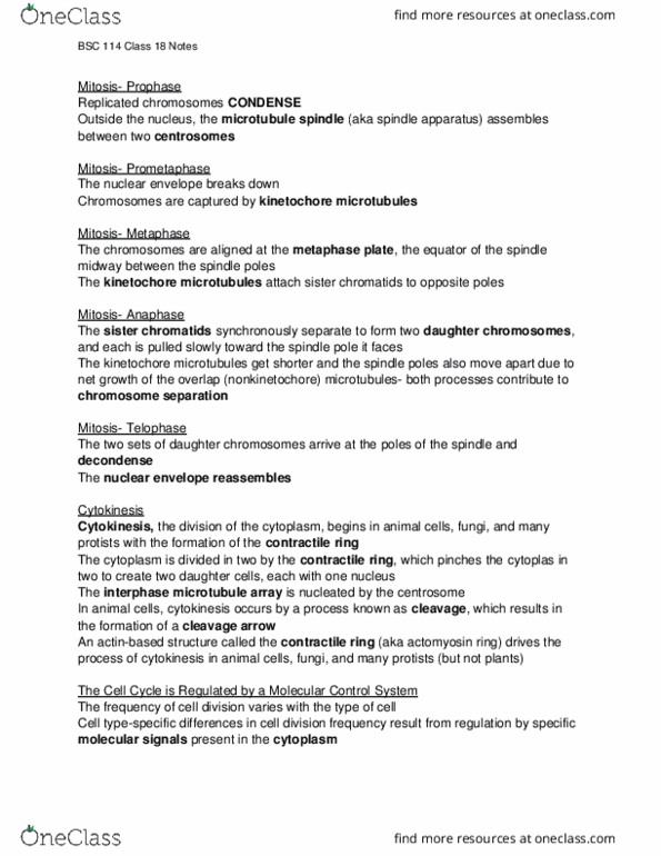 BSC 114 Lecture Notes - Lecture 18: Dna Replication, Fibroblast, Spindle Apparatus thumbnail