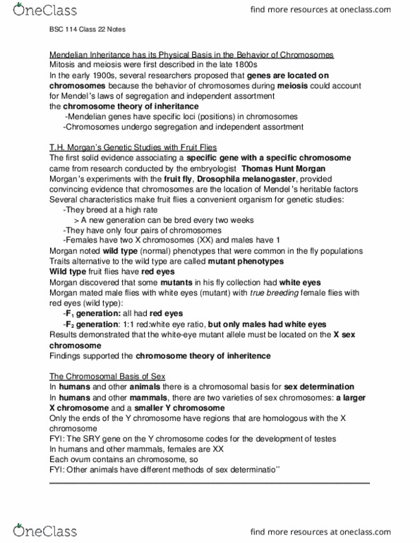 BSC 114 Lecture Notes - Lecture 22: Polyploid, Mitochondrion, Organelle thumbnail