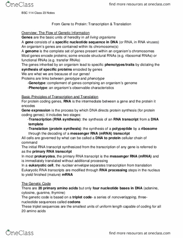 BSC 114 Lecture Notes - Lecture 23: Exon Shuffling, Intron, Tata Box thumbnail