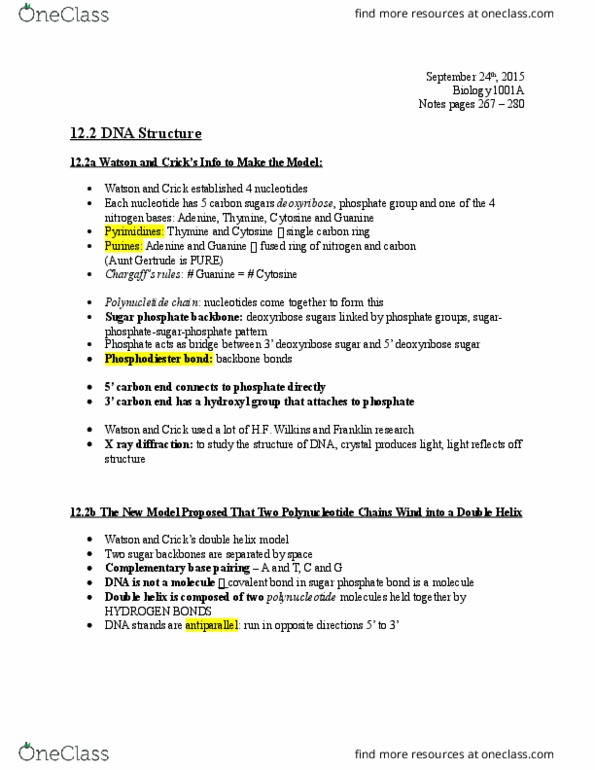 Biology 1001A Chapter Notes - Chapter 12: Cidofovir, Primase, Telomere thumbnail