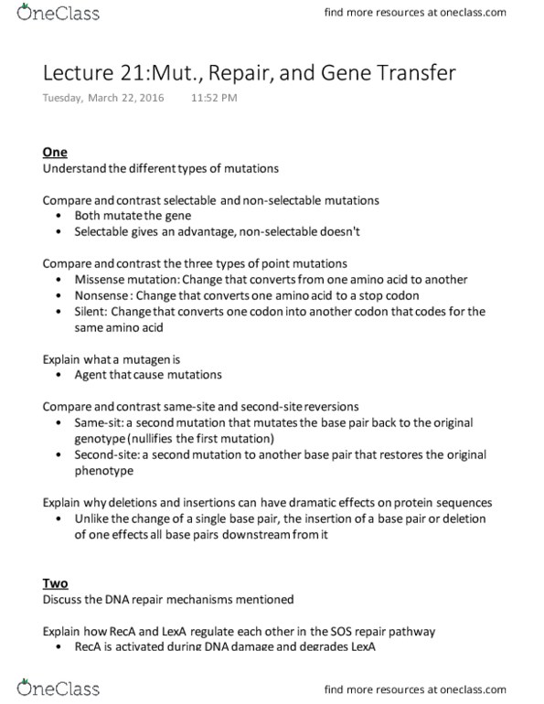 MMG 301 Lecture Notes - Lecture 21: Repressor Lexa, Missense Mutation, Reca thumbnail