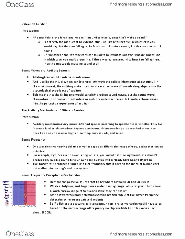 PSYCH 1XX3 Lecture Notes - Lecture 10: Cochlear Nucleus, Visual Cortex, Hair Cell thumbnail