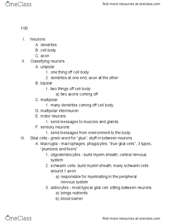 01:830:310 Lecture Notes - Lecture 1: Lissencephaly, Ectoderm, Anencephaly thumbnail