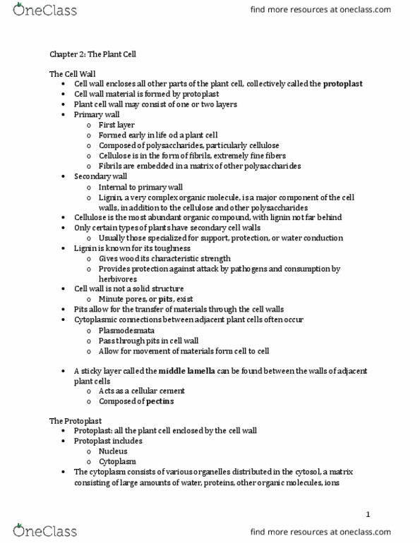 BIOL 2080 Chapter 2: Chapter 2 The Plant Cell thumbnail