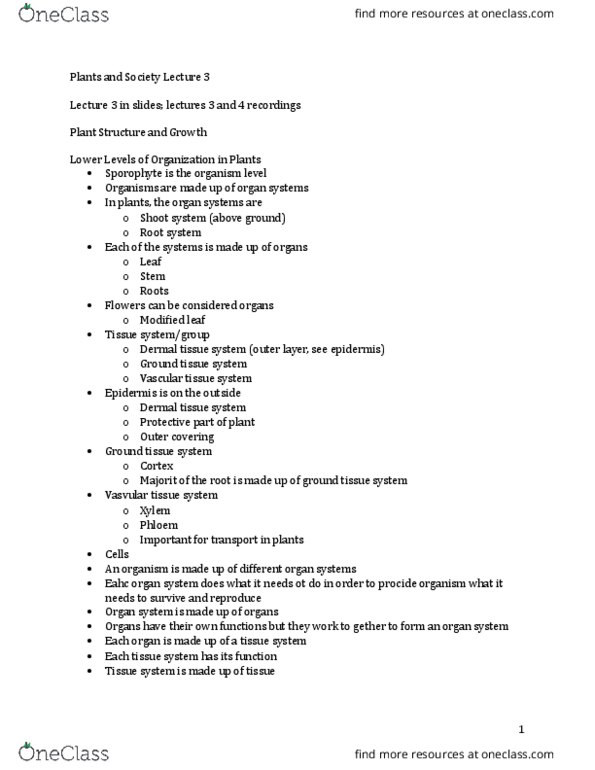 BIOL 2080 Lecture Notes - Lecture 3: Flowering Plant, Vascular Bundle, Sieve Tube Element thumbnail