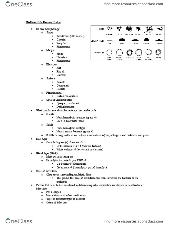 document preview image